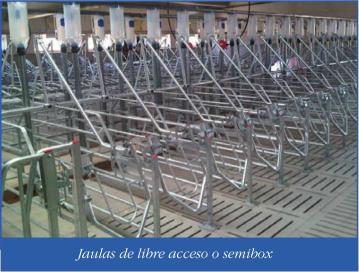 Jaulas de libre acceso a semibox