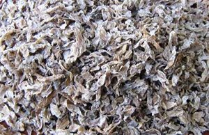 Pulpa de remolacha azucarera como alimentación porcina No es sólo una fuente razonable de la energía, sino también una buena fuente de fibra funcional