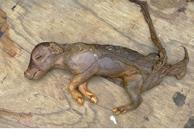 Hay algunas enfermedades en las que no está seguro de cómo se propagan