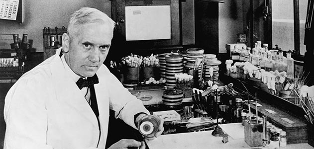En 1929, Alexander Fleming descubrió la penicilina por casualidad en Razas Porcinas