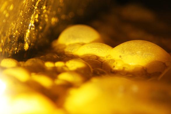 Digestion en progreso dentro de planta de digestion anaerobica en granja de cerdos de Razas Porcinas