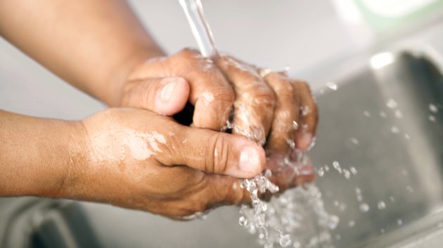 Lavado de manos dentro de unidades de destete con lechones de razas porcinas