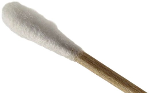 hisopo-utilizado-para-tomar-muestras-y-analizar-Razas-Porcinas