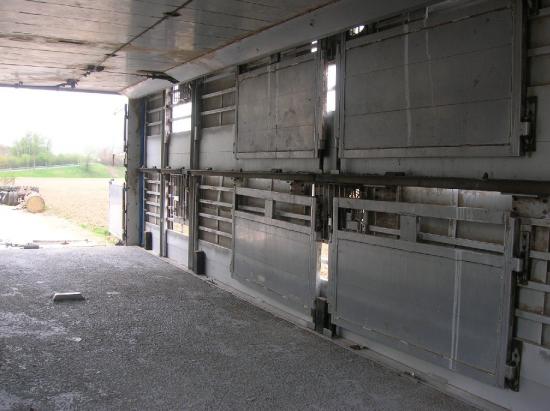 Interior-limpio-de-camion-para-transporte-de-cerdos-Razas-Porcinas