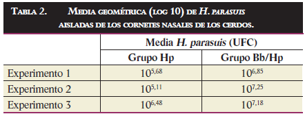 Tabla-2-sobre-la-media-geometrica-de-h-parasuis-aisladas-de-los-cornetes-nasales-de-los-cerdos-con-bordetella-haemophilus-Razas-Porcinas