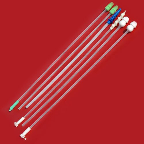 cateteres-para-inseminar-cerdas-en-celo-Razas-Porcinas