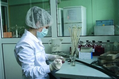 laboratorio-de-inseminacion-artificial-porcina-Razas-Porcinas