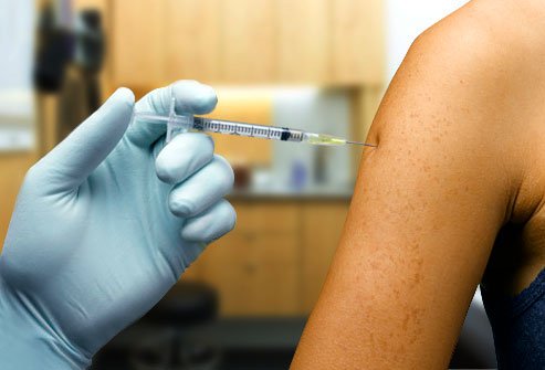 vacunacion-contra-influenza-a-h1n1-Razas-Porcinas