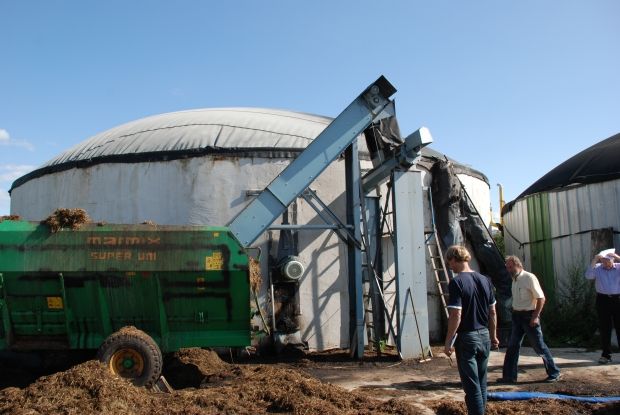 Instalacion-de-planta-de-digestion-anaerobica-para-generar-biogas-en-criadero-de-cerdos-Razas-Porcinas