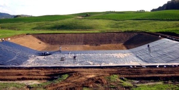 Como-tratar-los-efluentes-porcinos-con-el-sistema-de-lagunas-Razas-Porcinas