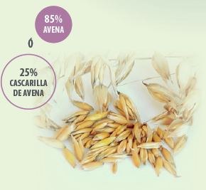 Composicion-en-fibra-del-alimento-para-los-cerdos-con-ulceras-gastricas-Razas-Porcinas