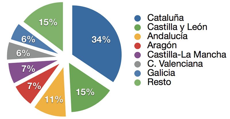 Comunidades-de-mayor-produccion-de-carne-de-cerdo-en-espana-en-2016-Razas-Porcinas