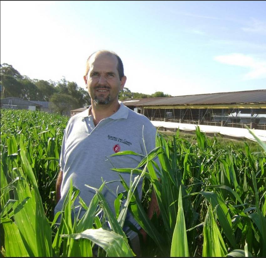 Diego-Bernay-en-un-lote-de-maiz-detras-de-los-galpones-de-cerdos-de-la-granja-Razas-Porcinas