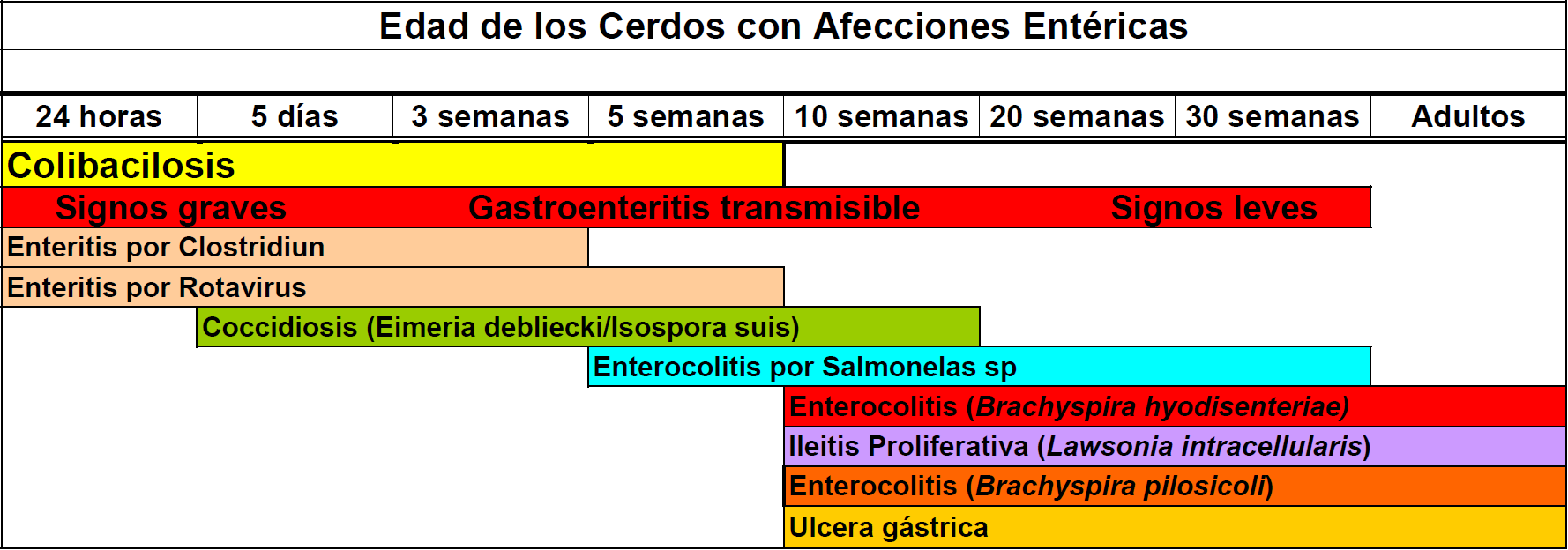 Edades-en-que-los-cerdos-tienen-problemas-entericos-Razas-Porcinas
