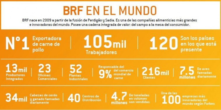Empresa-BRF-en-el-mundo-de-la-produccion-porcina-y-de-carne-de-pollo-Razas-Porcinas