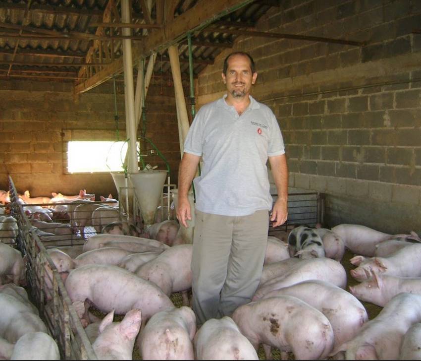 La-granja-porcina-El-Alamo-termina-100-cerdos-por-semana-Razas-Porcinas
