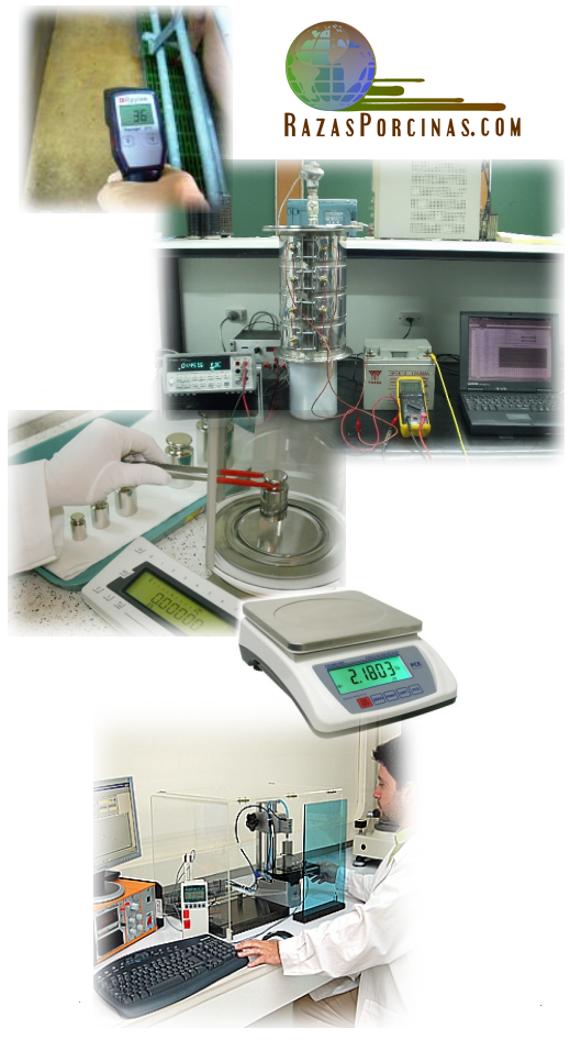 Objetos-de-medicion-y-verificacion-en-la-produccion-porcina-Razas-Porcinas