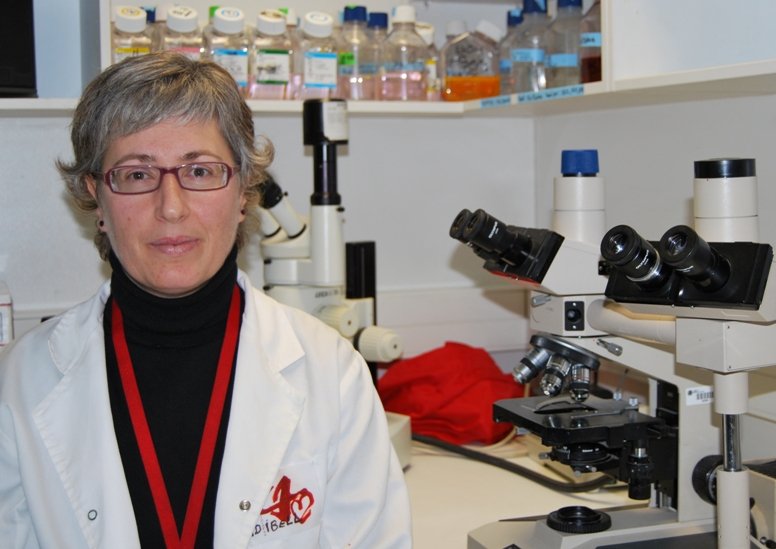 La investigadora Cristina Costa del IDIBELL da un paso mas para transplantar celulas de cerdo para la regeneracion de cartilago humano en Razas Porcinas