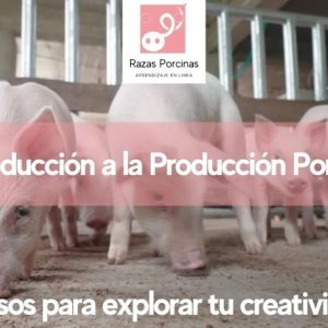 Curso-Introduccion-a-la-Produccion-Porcina-Razas-Porcinas