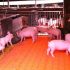 Alternativas al uso de harina de soja en las dietas de alimentación para cerdos